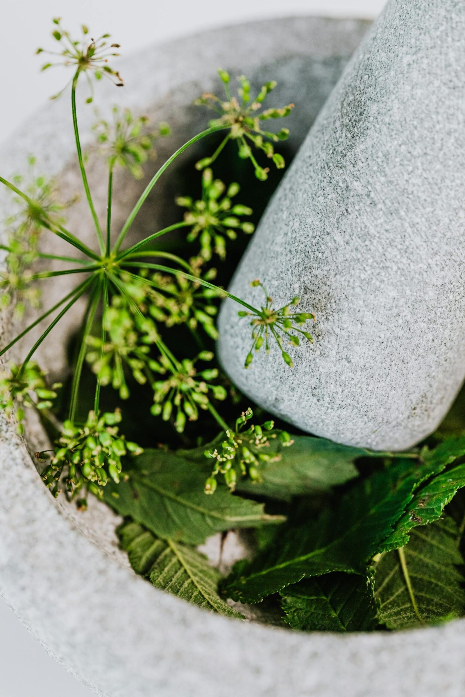 Adaptogens Are Having a Moment. Here’s What the Research Actually Shows.